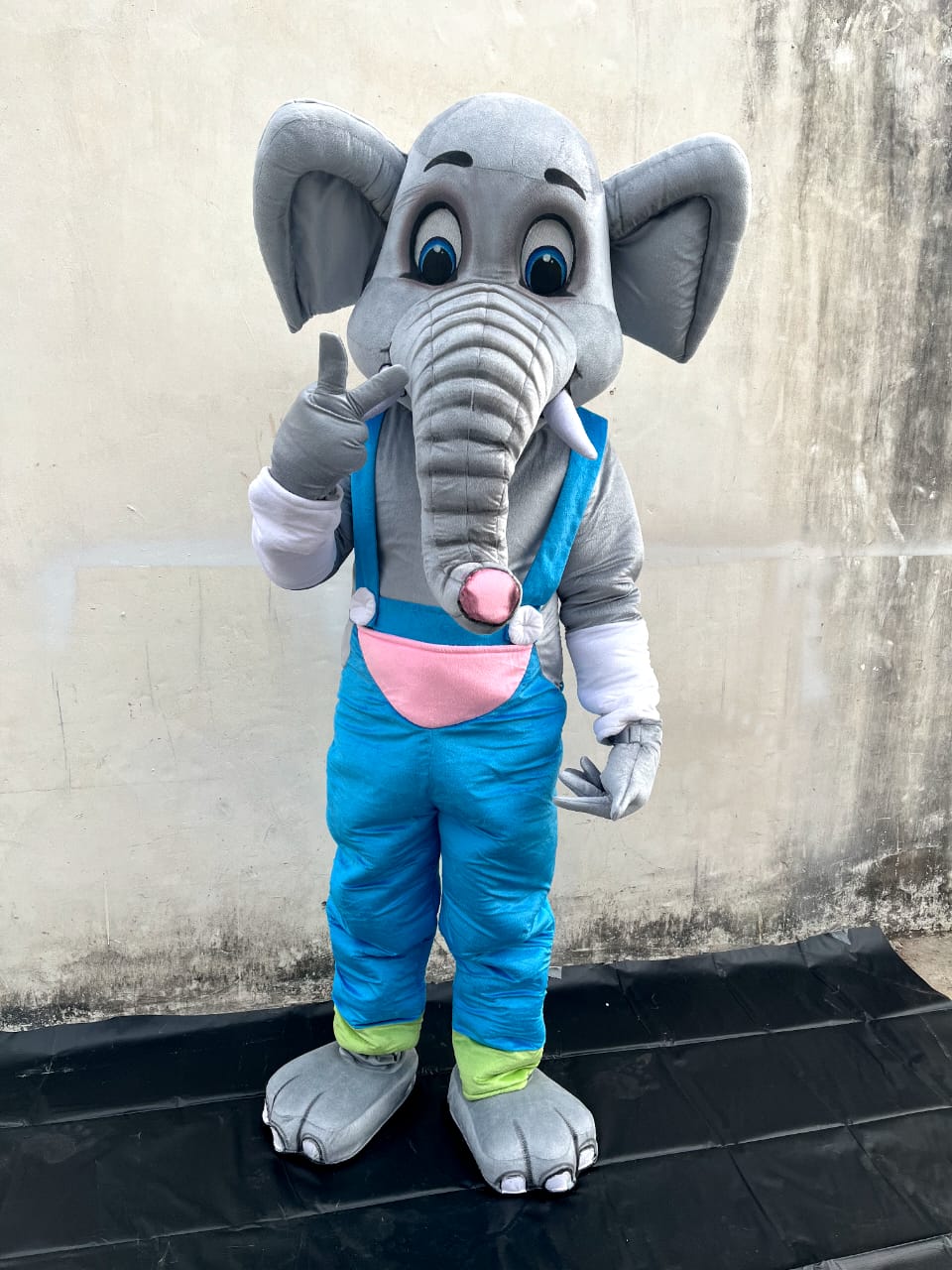  Mascot in Malviya Nagar